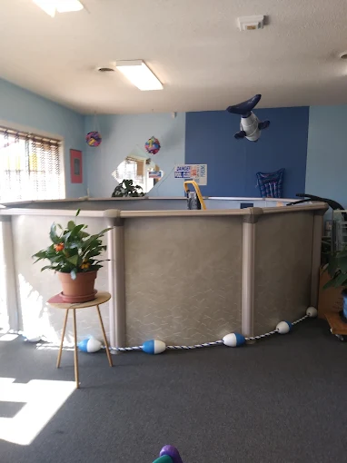 Showroom display pool